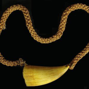 Fijian Tabua